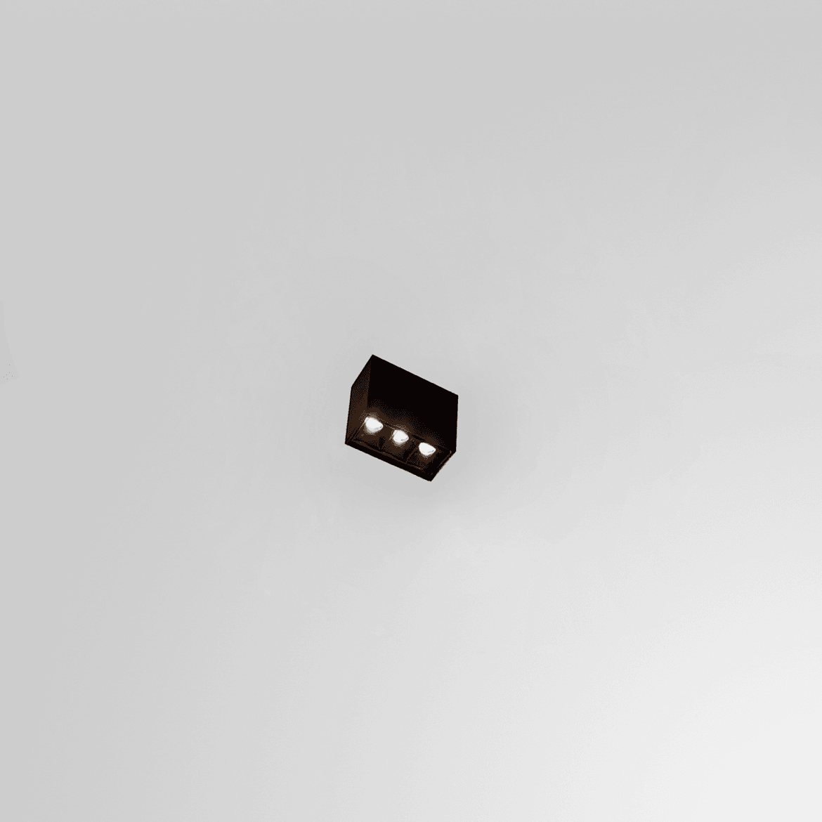foto_darklight 8 c-01.png