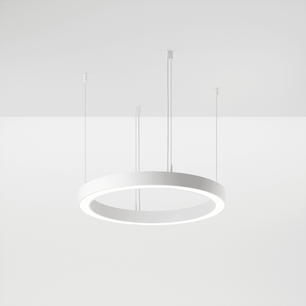 foto_loop modulo r 35-01 .png