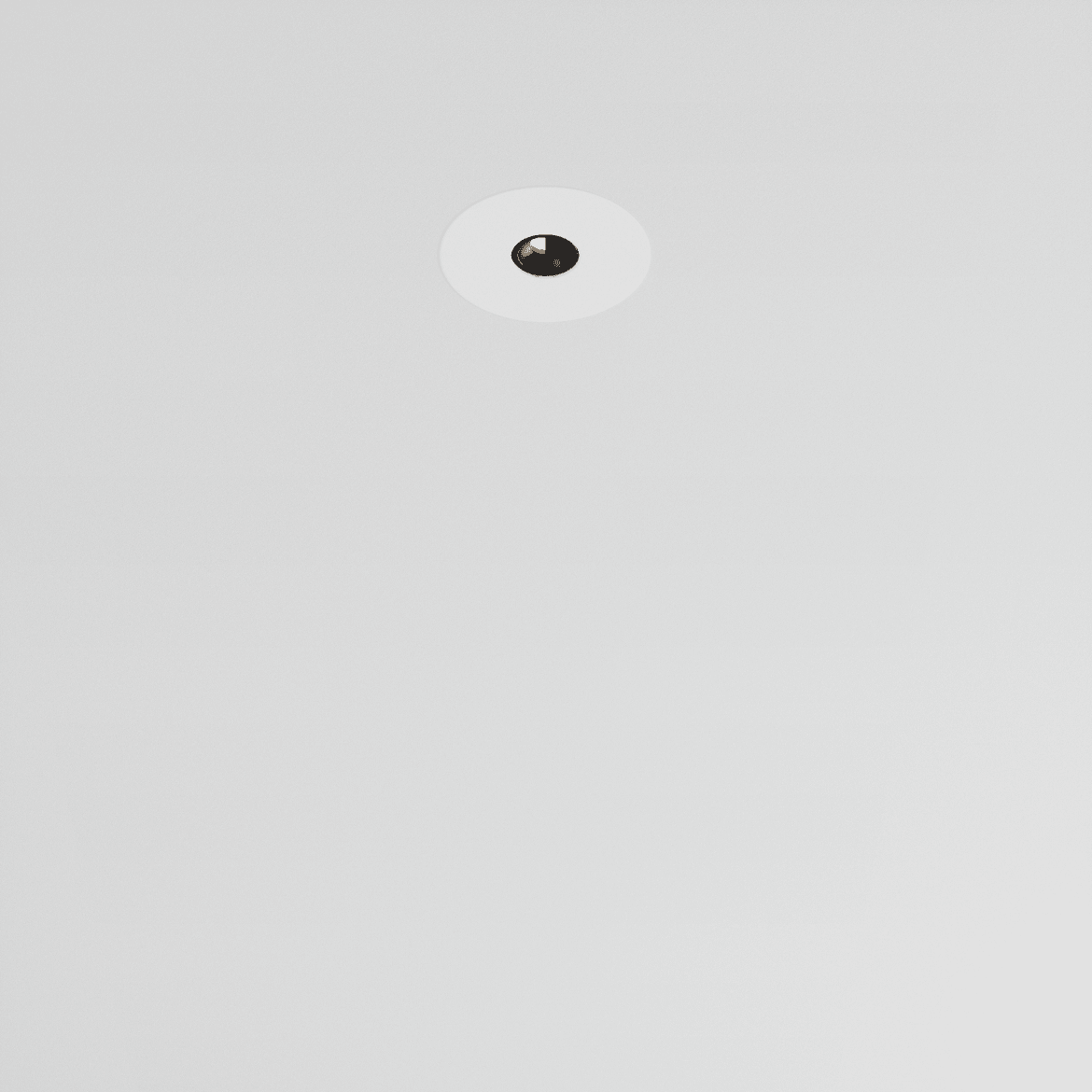foto_minima r ww e-01.png